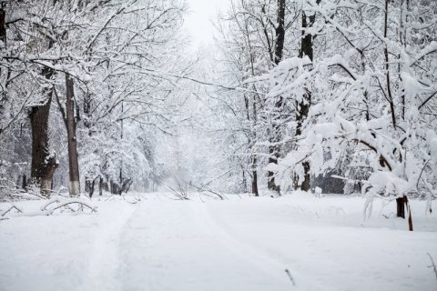 meteo:-gelo-nuovamente-protagonista.-vediamo-quando