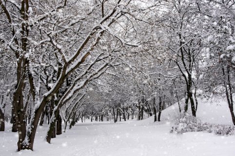 meteo:-guerra-o-pace-tra-atlantico-e-gelo?